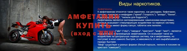ГАЛЛЮЦИНОГЕННЫЕ ГРИБЫ Вязьма