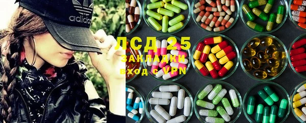 ГАЛЛЮЦИНОГЕННЫЕ ГРИБЫ Вязьма