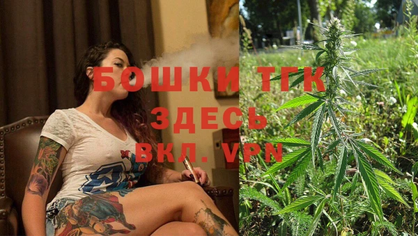 ГАЛЛЮЦИНОГЕННЫЕ ГРИБЫ Вязьма