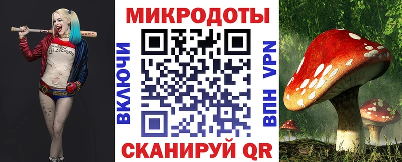блэк спрут онион  купить закладку  Ипатово  Галлюциногенные грибы Magic Shrooms 